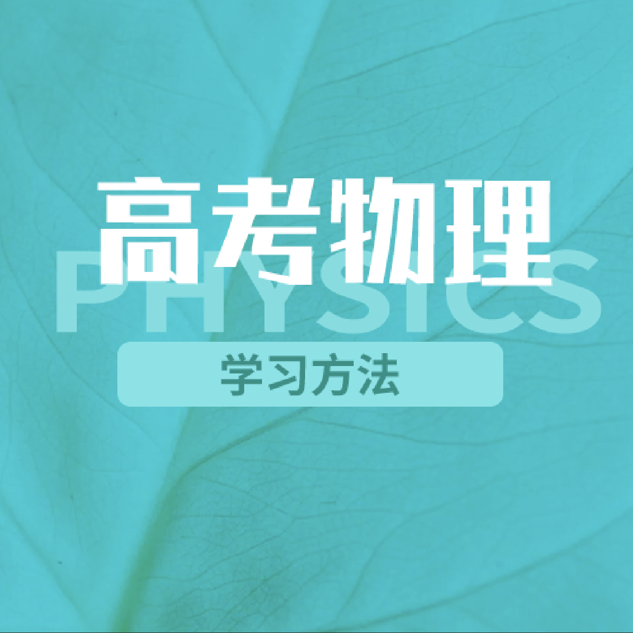 高物方法VTS_01_2