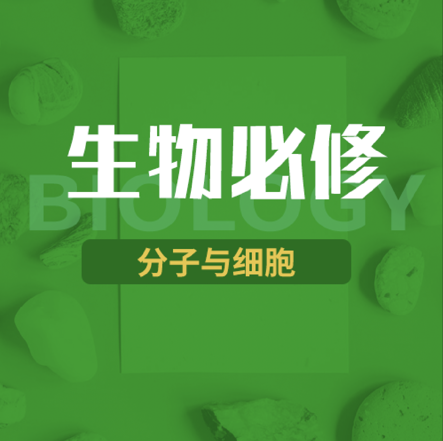 第10讲 生态与环境01 